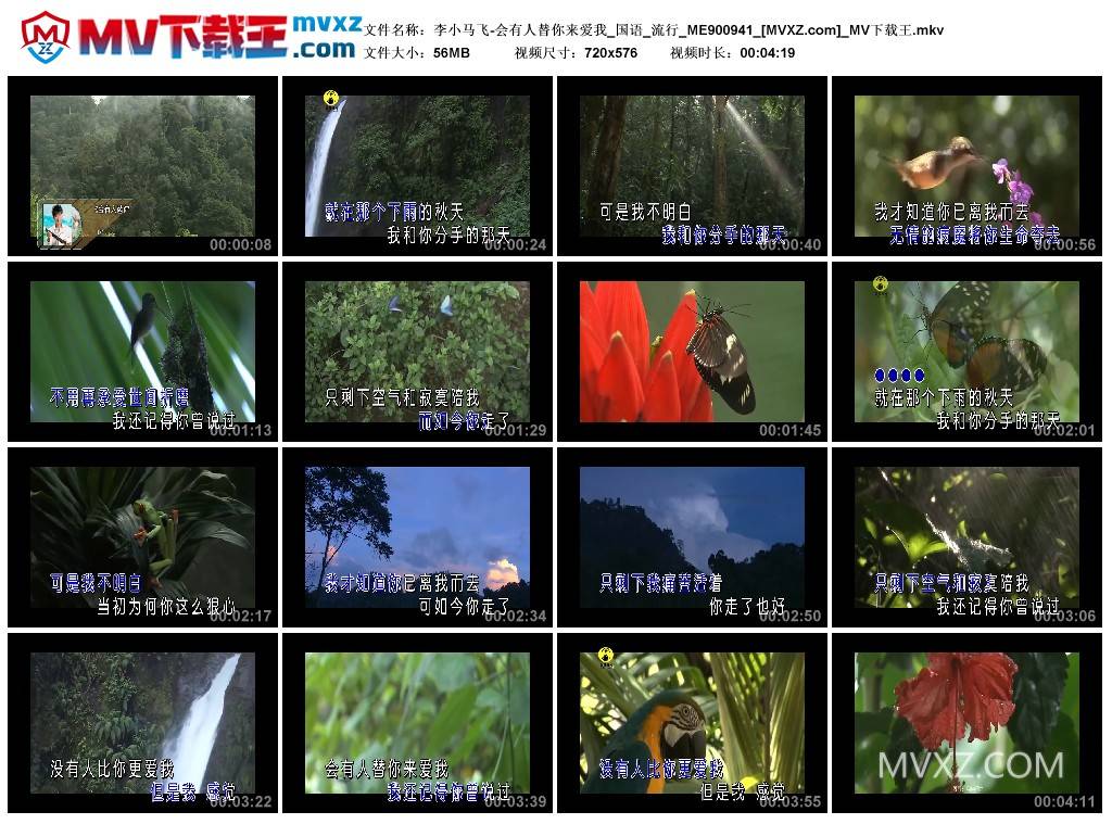 李小马飞-会有人替你来爱我_国语_流行_ME900941